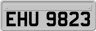 EHU9823