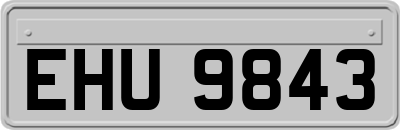 EHU9843