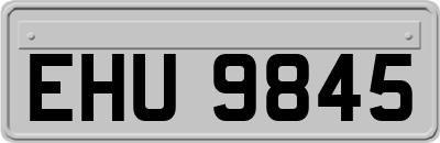 EHU9845