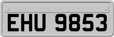 EHU9853