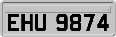 EHU9874