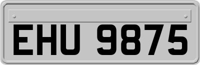 EHU9875
