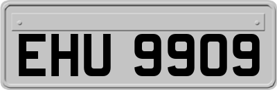 EHU9909