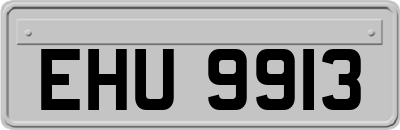 EHU9913