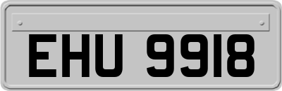 EHU9918