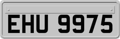 EHU9975