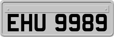 EHU9989