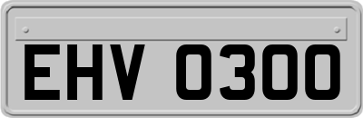 EHV0300