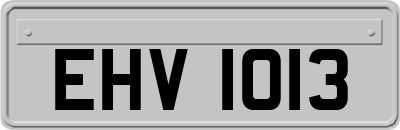 EHV1013