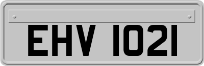 EHV1021