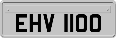EHV1100