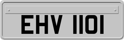 EHV1101