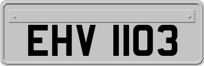 EHV1103
