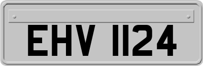 EHV1124