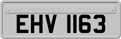 EHV1163