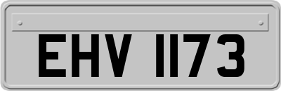 EHV1173