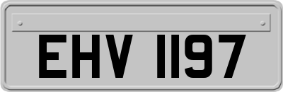 EHV1197