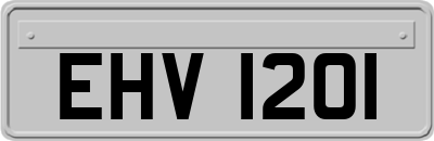 EHV1201