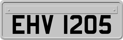 EHV1205