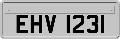 EHV1231