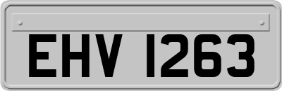 EHV1263