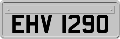 EHV1290