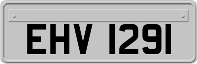 EHV1291