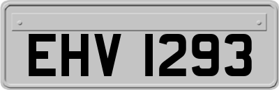 EHV1293