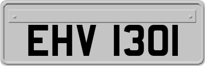 EHV1301
