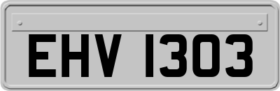 EHV1303
