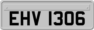 EHV1306