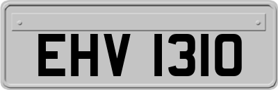 EHV1310