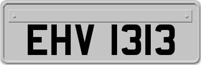 EHV1313