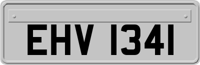 EHV1341