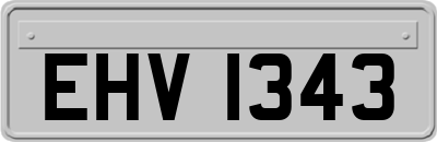 EHV1343
