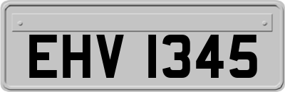 EHV1345