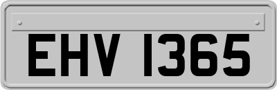 EHV1365