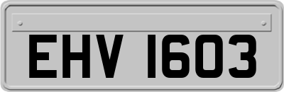 EHV1603