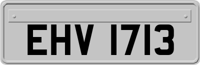 EHV1713