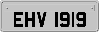 EHV1919