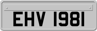 EHV1981