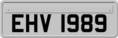 EHV1989