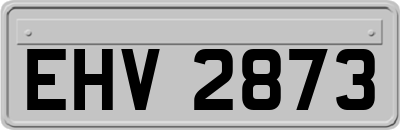 EHV2873