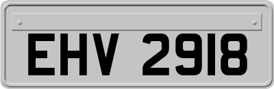 EHV2918