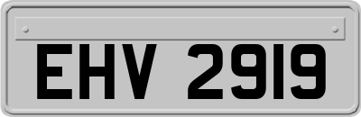 EHV2919