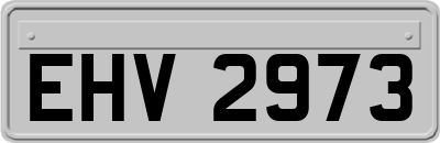 EHV2973