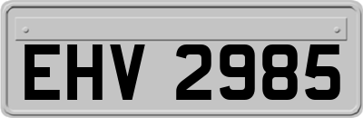 EHV2985