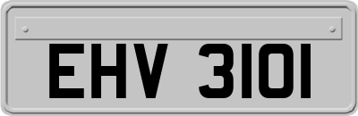 EHV3101