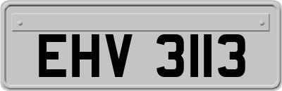 EHV3113