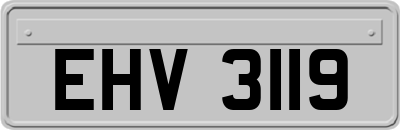 EHV3119